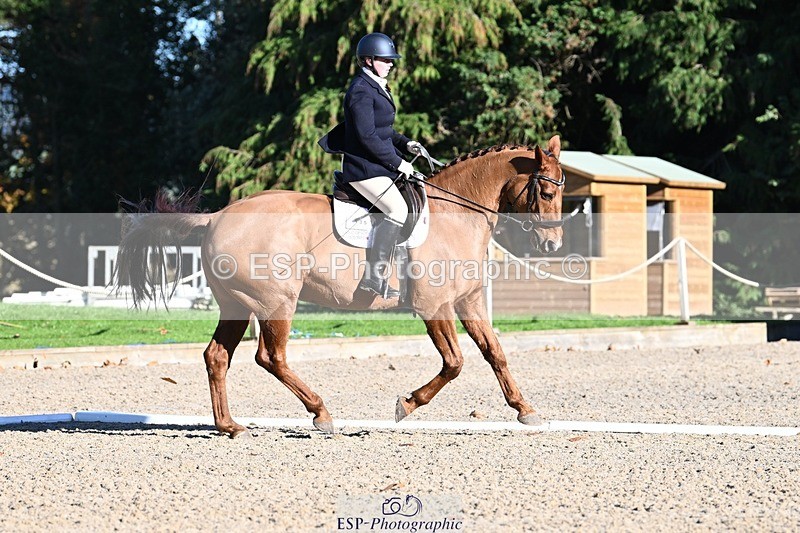 231110-131648-00901 - Cls 4 Novice 39Q