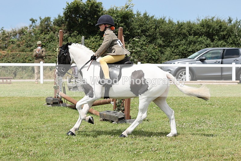 JPP_1963 - Class 18: Tiny Tots Working Hunter Pony