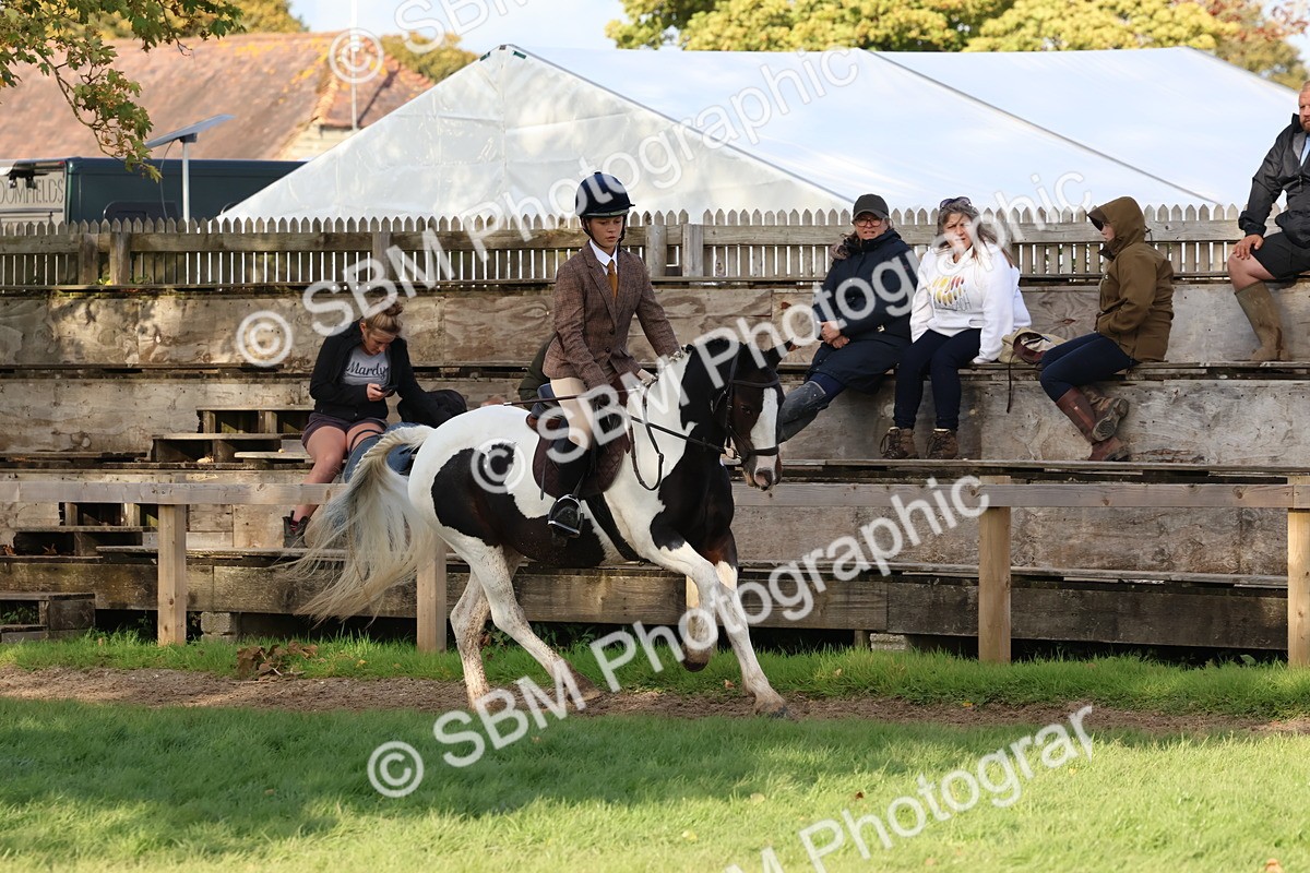 SBM_52599 - S13 - Pony Club Pony