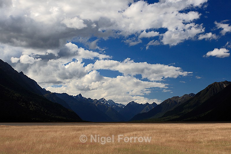 Eglinton Fields on the road to Milford Sound - New Zealand
