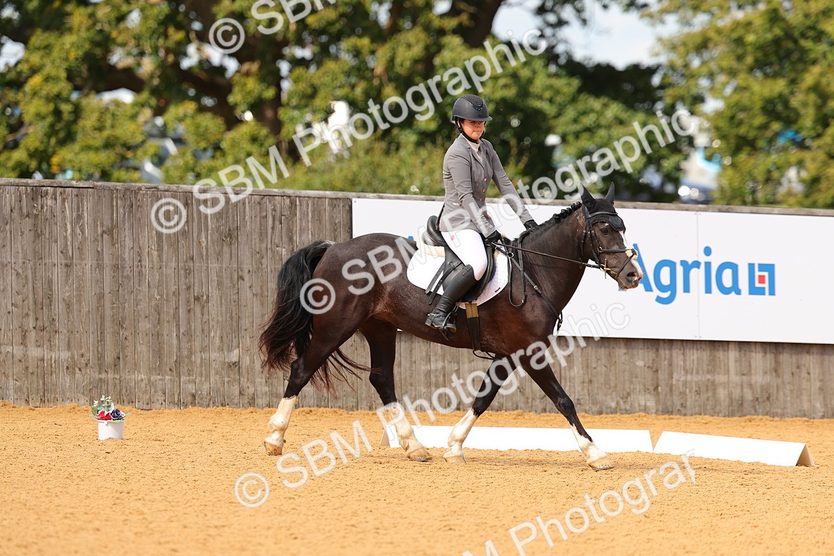 SBM_43980 - D22 - Junior Championship - Intro B