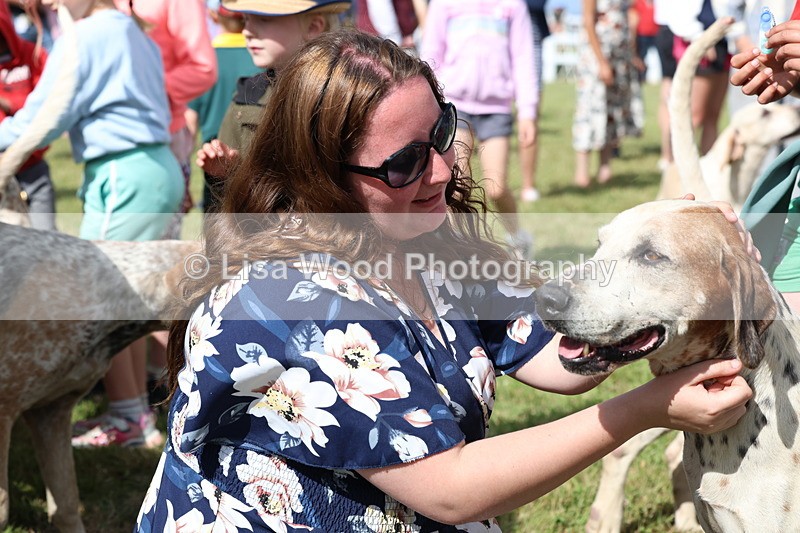 3E7A3422 - Parade of Hounds