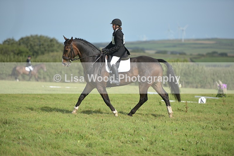 RAY_7947 - Class 2B: Trekenning Open: Dressage