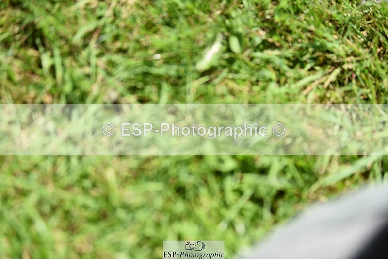 240605-142214-01135 - Cls 6 Elementary 59 SQ