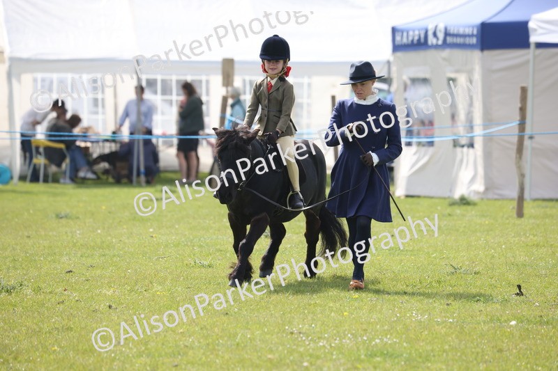 20260426-2569 - Class 31 - Leading Rein