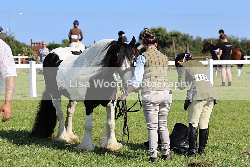 IMG_1596 - Class 30: Ridden Native/Trad Coloured Pony