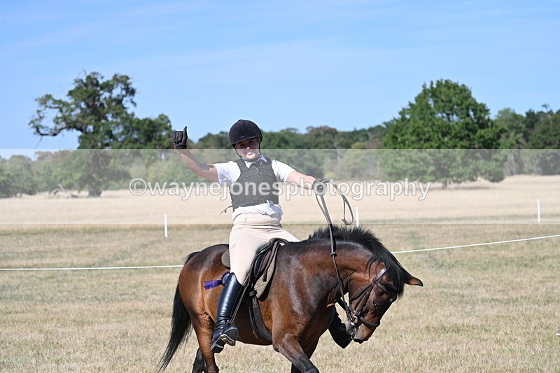 WJ7_1763 - Class 42 Most Handsome Gelding
