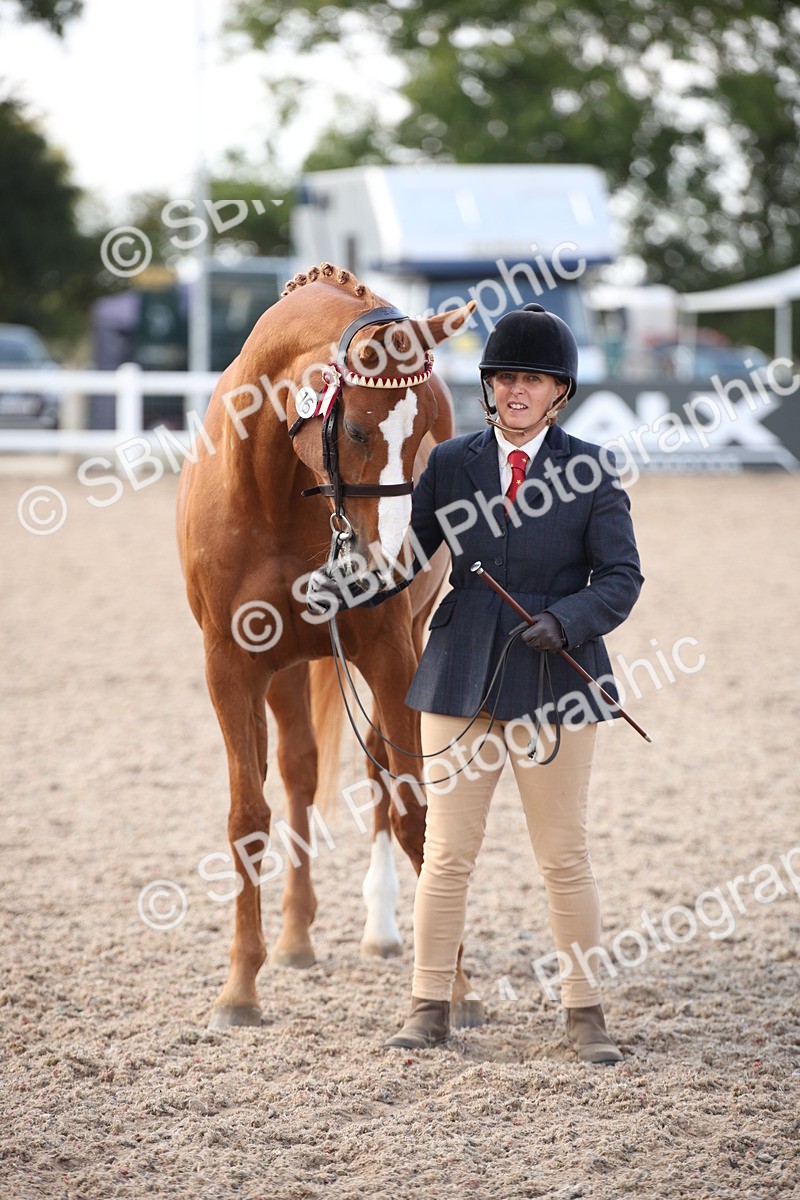 SBM_07123 - Class 25 IH Foreign Breeds- Pure bred