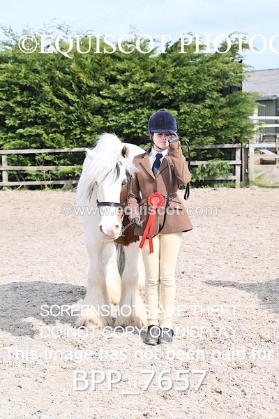 BPP_7657 - RING 1  (RIDDEN HORSES / IN HAND / VETERAN ETC)