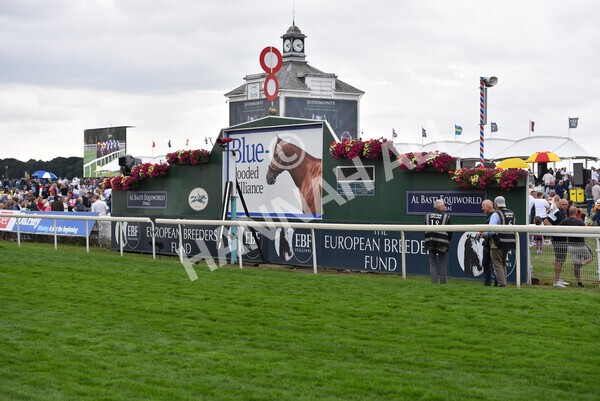 yr18082022r5-25 - Race 5 4.10pm British EBF & Sir Henry Cecil Galtres Stakes