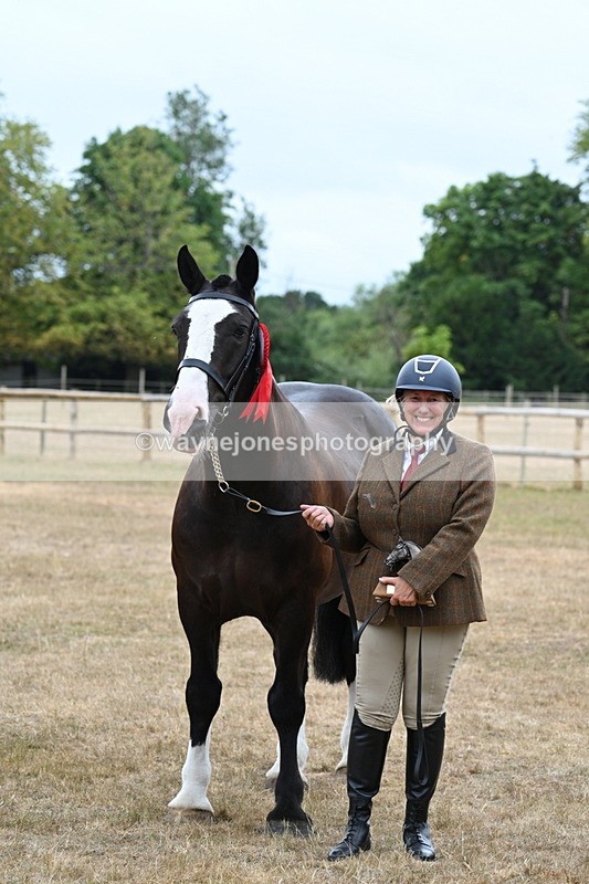 WJ7_0235 - Gelding Champs
