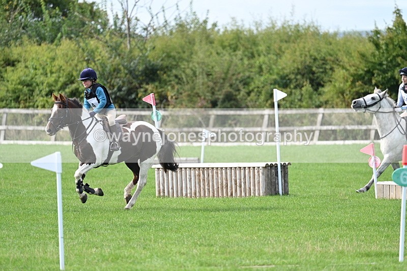 WJ7_8458 - 60cm Pairs