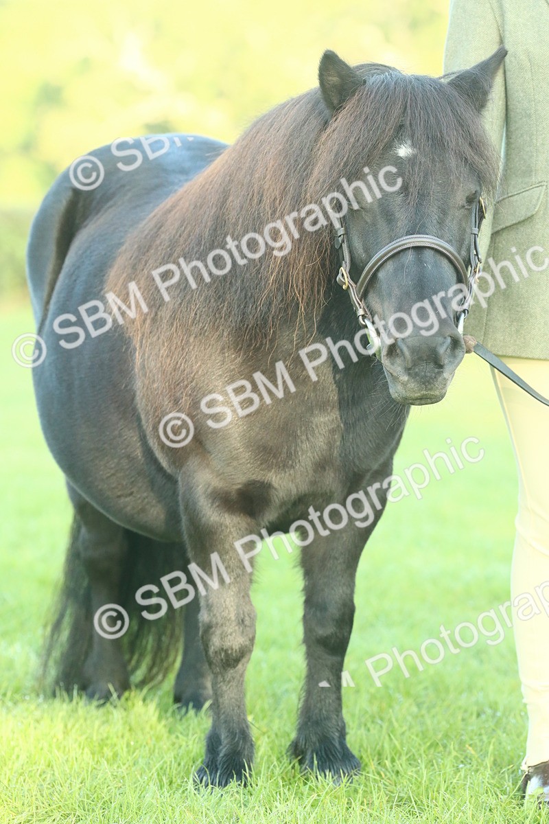 SBM_57466 - S37 - Starters In Hand Showing