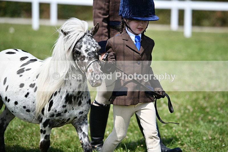 DSC_8012 - Class 66: Child Handler 10 years and under