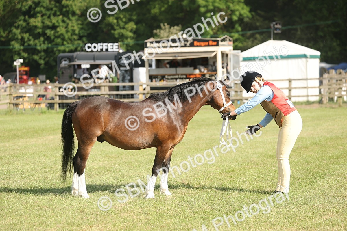 SBM_10310 - Class 33-38 - SSADL RIHS Qualifiers
