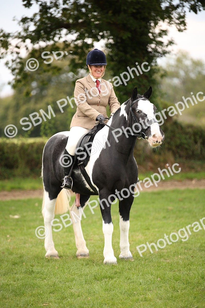 SBM_72398 - S67 - Show Cob Ridden