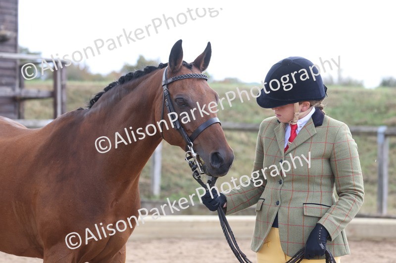 20260831-2367 - Class 9 - Show Pony and Show Hunter