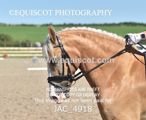 JAC_4918 - CLASS 5 / 6  NOVICE Tests 4 / 6