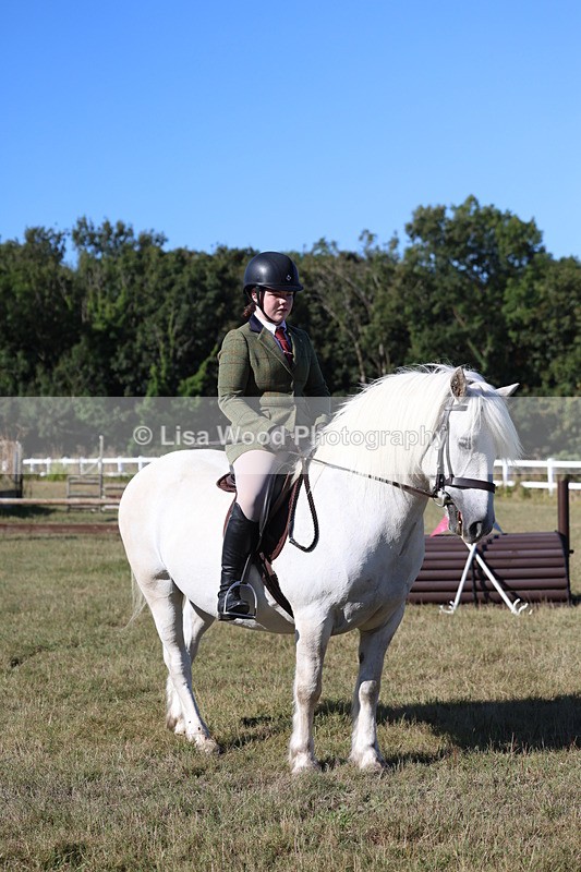 3E7A5354 - Class 2: Working Hunter 60cm