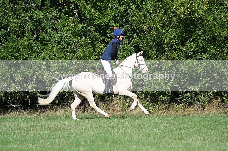 WJ7_8557 - 60cm Pairs