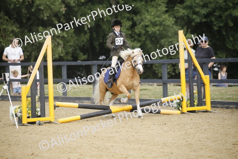 20250622-1535 - 40cm