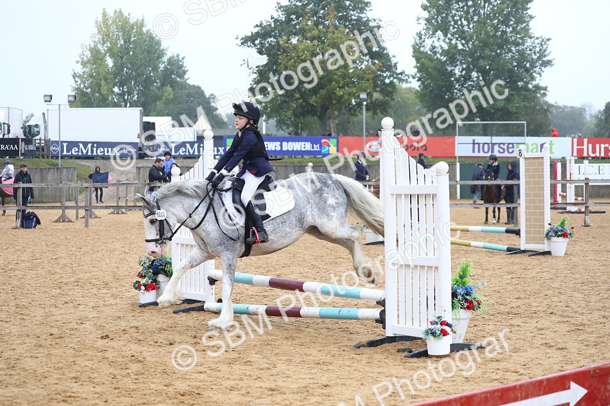 SBM_71693 - J4 - Mini Tour Junior Pony 45cm Championship