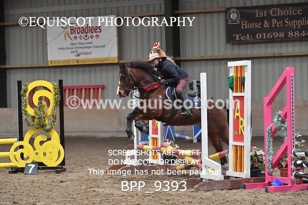 BPP_9393 - CLASS 5 60CM Progressive Show Jumping