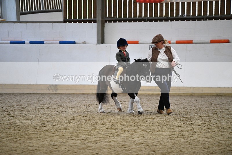 WJ5_6664 - Class 10 Childs Pony