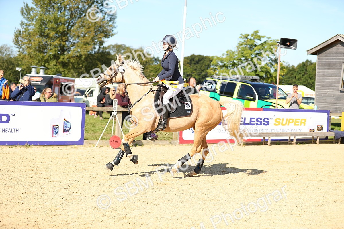 SBM_17864 - J33 - Senior 75cm Championship