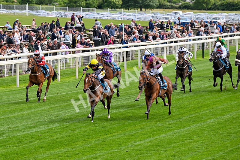 120626-Race 4-Big Negotiator-0215 - Race 4 15.35pm Juddmonte EBF Fillies' Restricted Novice