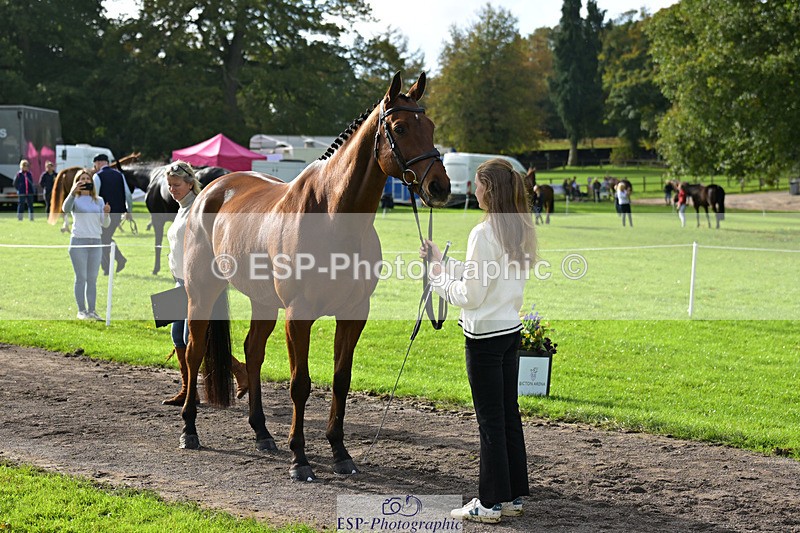 241023-131808-00192 - 011-Carla.Williamson-GOLDMAN