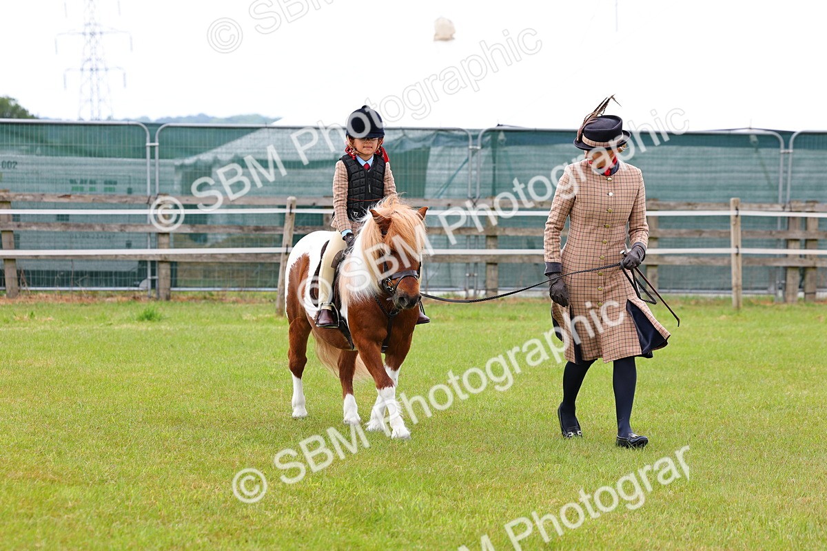 SBM_08244 - Class 42-43 - LIHS BSPS Heritage Working Sports Pony