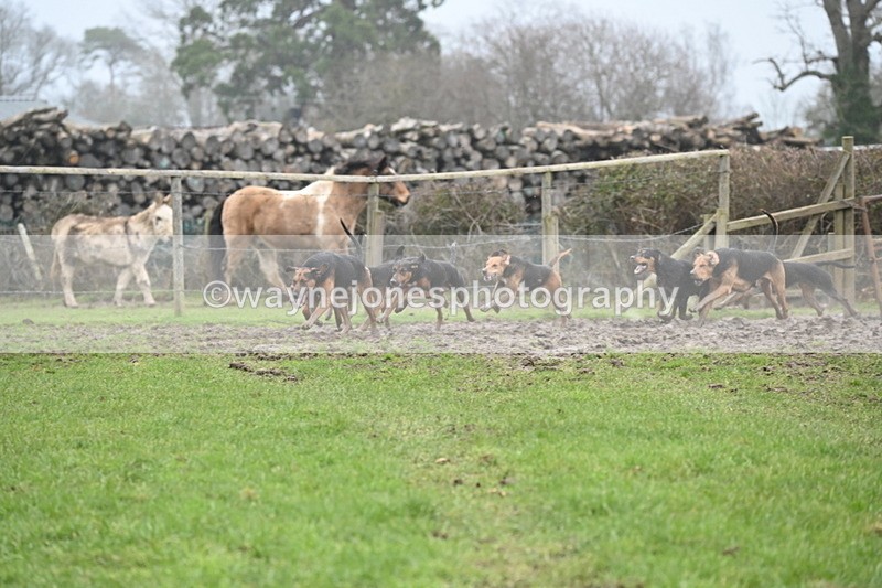 WJ6_5873 - Camera A