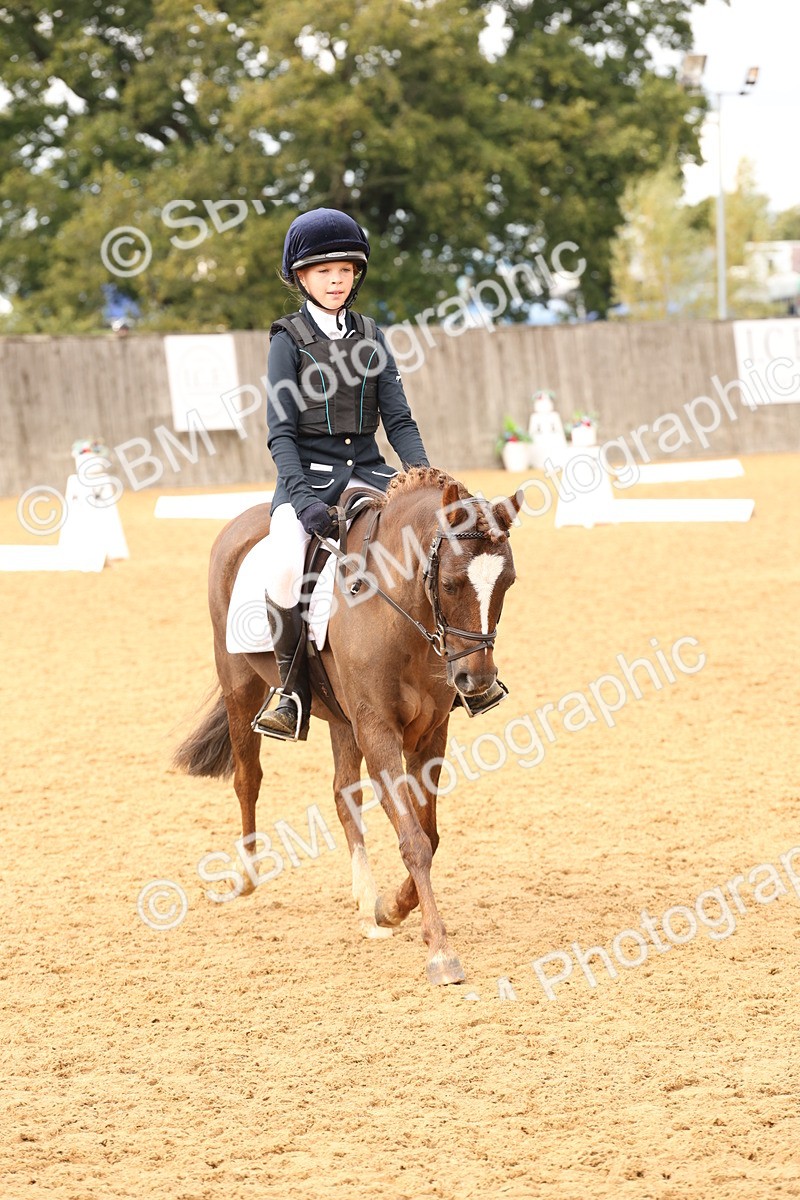 SBM_44179 - D6 - Small Tour Championship Intro 4