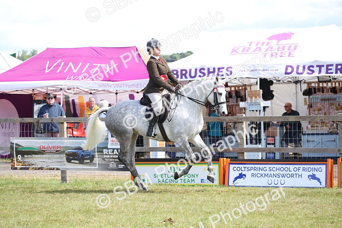 SBM_13326 - Class 95-96 - LIHS BSHA Rising Star Hack Riding Horse