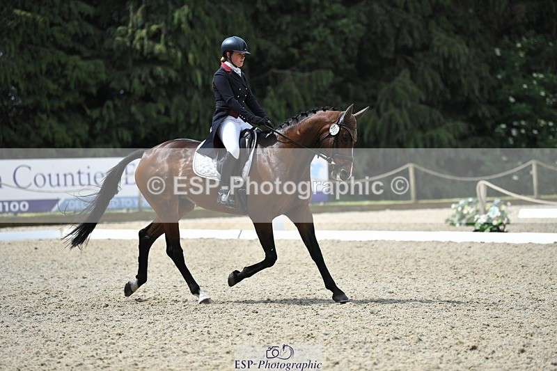 230525-113101-01844 - 101-INTERFIELDS_ABOUDDI-Saffron_Cresswell-WEDTrotUp+DR