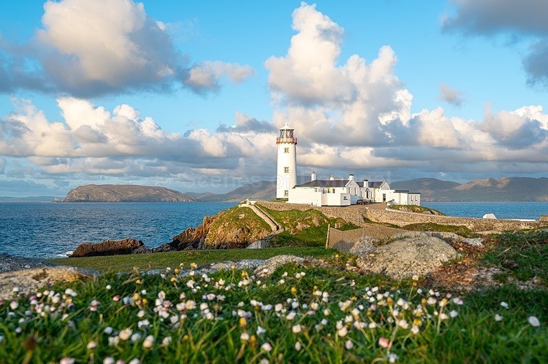 MF1_1387 - Fanad Lighthouse
