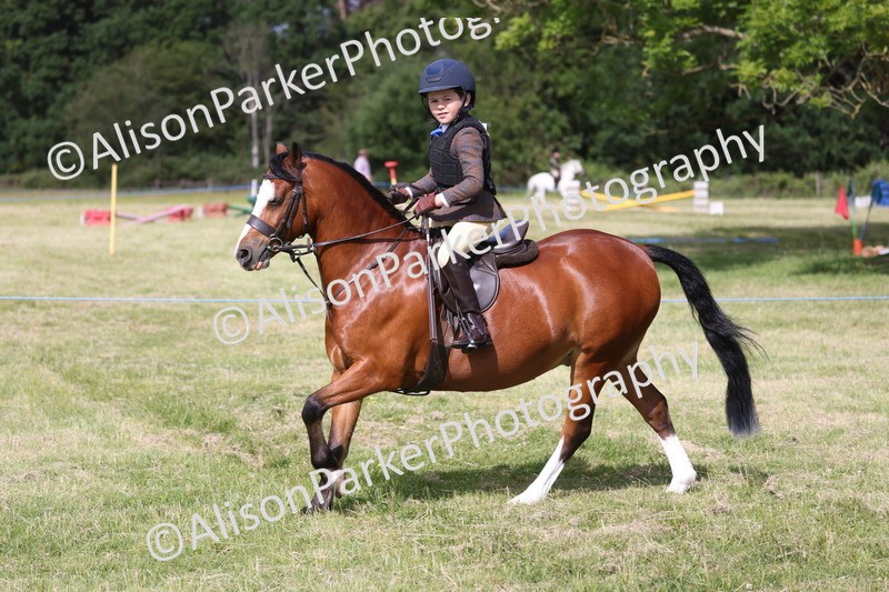 20260614-0488 - Class 20 - Beginners Working Hunter Pony