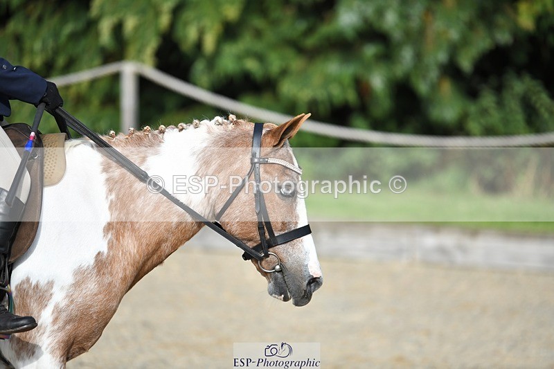 230824-171700-06773 - Round 2 Assisted 17.00 to End