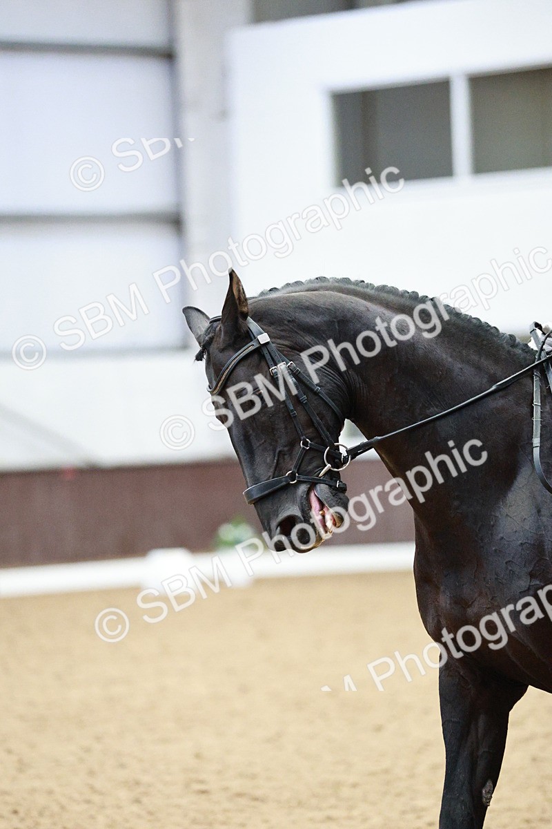 SBM_006451 - Class 16 - Advanced Medium 5 - 16.02-17.22