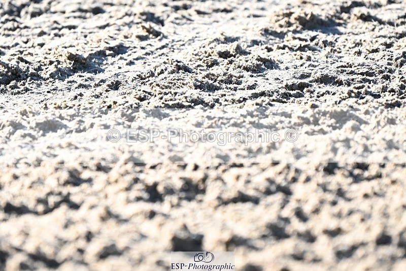 231110-103515-00140 - Cls 2 Prelim 17(a)Q