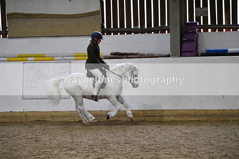 WJ5_6286 - Class 9 Ridden Veteran