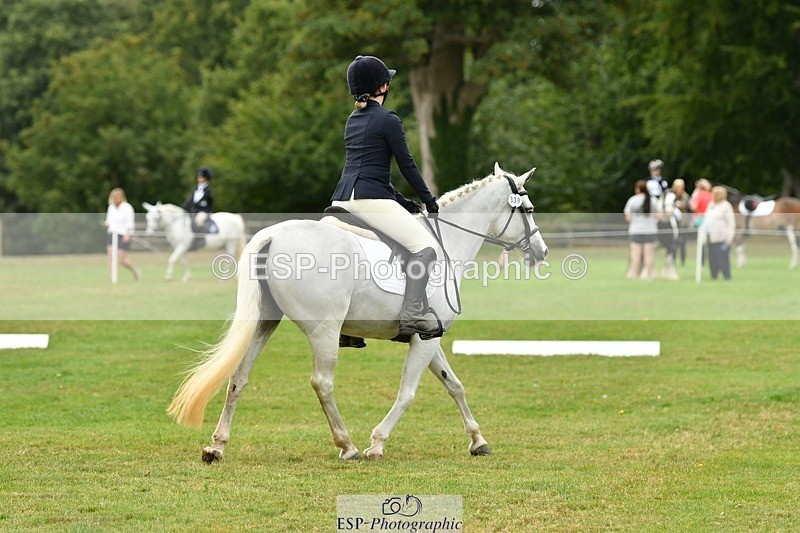 250820A-121812-05552 - 12 to 13.00