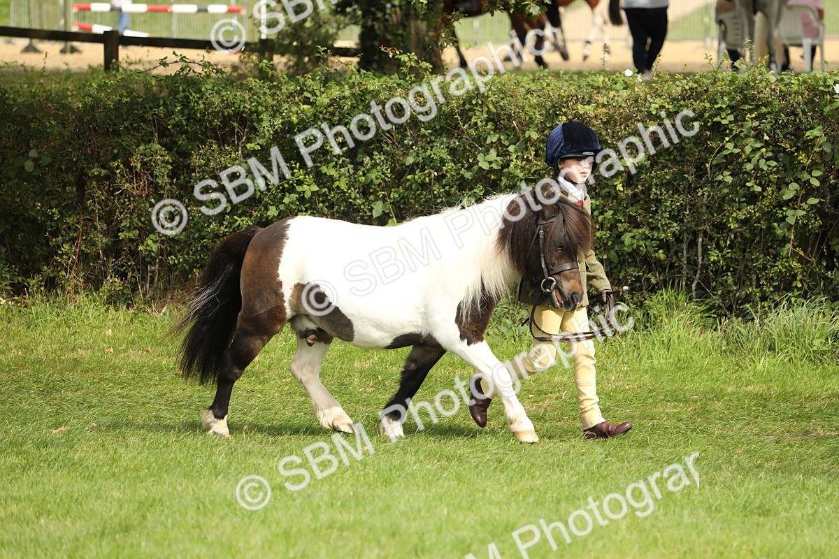 SBM_67701 - S39 - Junior Handler 8  Years & Under