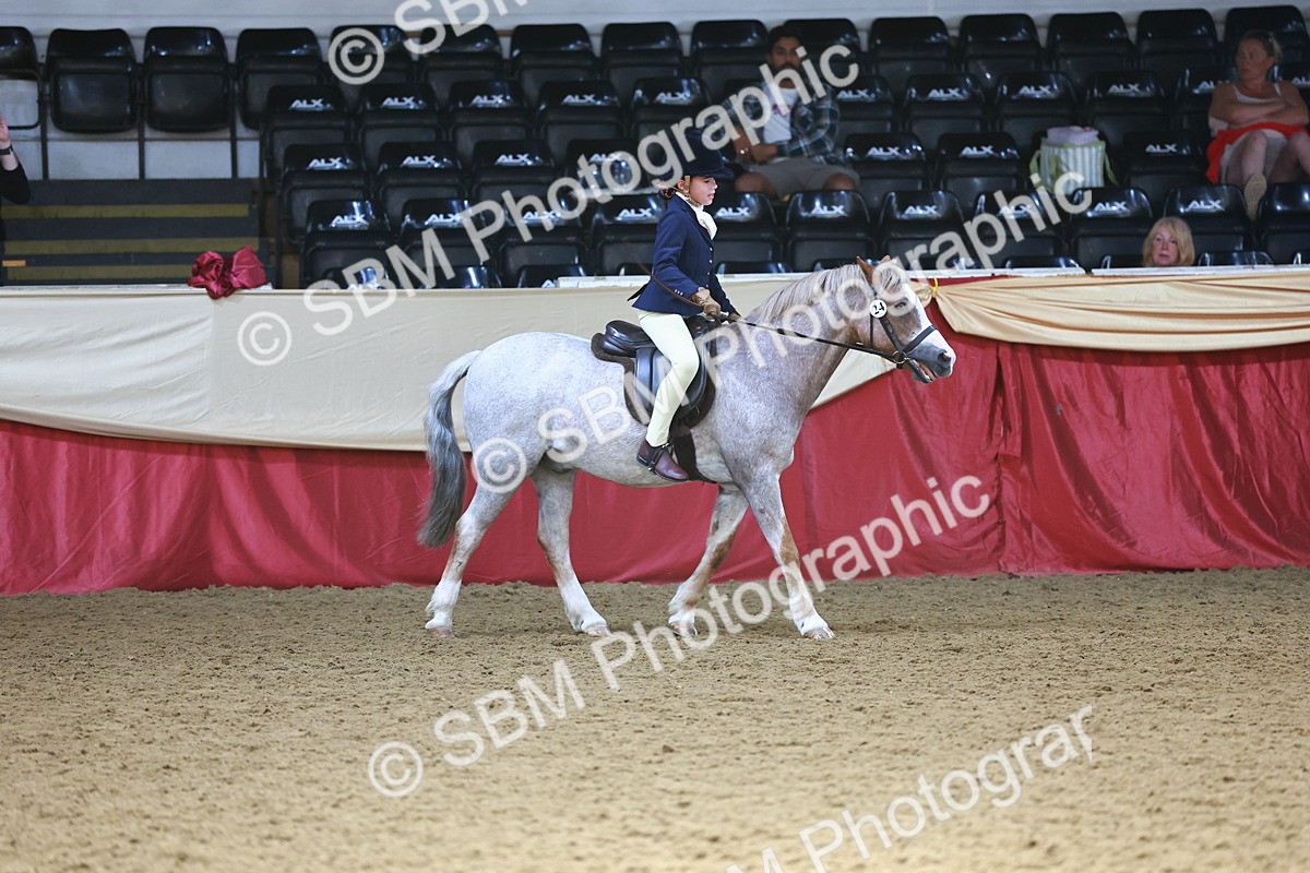 SBM_23950 - Class 905 - Supreme Final - Ridden Veteran