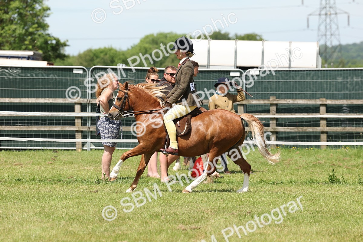 SBM_06764 - Class 26-30 - Mountain and Moorland Ridden