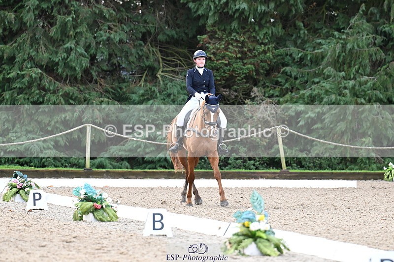 251023A-101616-01469 - B-128-Holly.Law