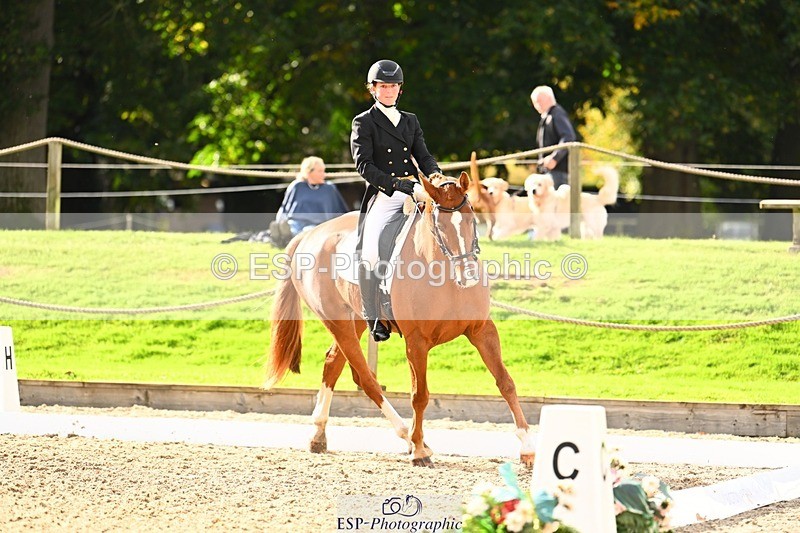 231020-144014-10010 - 309-CROSSTOWN.FINTANS.LAST-Catherine.Burrell-DR