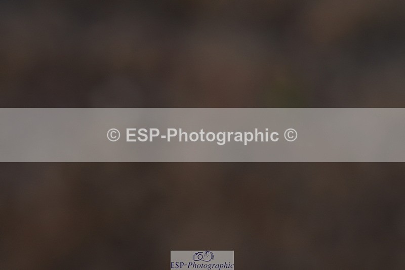 231104A-103056-00092 - Cls 4 Novice 22