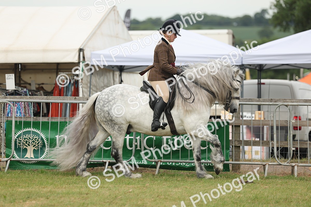 SBM_09112 - Class 78-80 - Ridden M&M Non Welsh Ponies